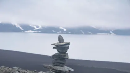 O linie genetică umană necunoscută a supraviețuit și s-a adaptat după sfârșitul erei glaciare