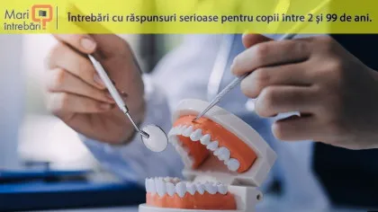 De ce dinții nu sunt oase?