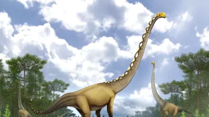 O nouă specie de dinozaur cu gâtul extrem de lung, descoperită datorită unui singur os