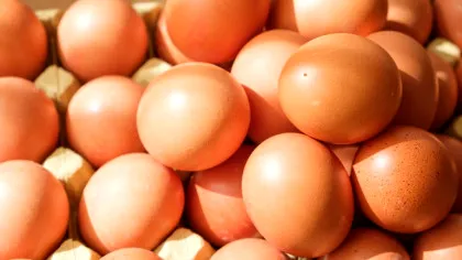 Test de cultură generală. Din ce este făcută coaja de ou?