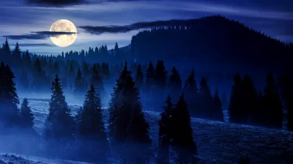 Temperaturile anunțate de meteorologi pentru luna noiembrie