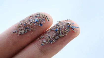 Cum ajung microplasticele în legumele pe care le punem zilnic pe masă