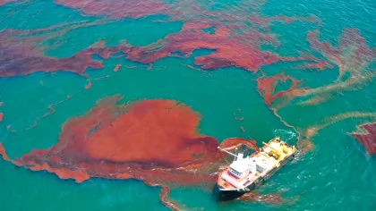 La 16 ani de la dezastrul petrolier Deepwater Horizon, viața din adâncurile Golfului Mexic nu dă semne de refacere