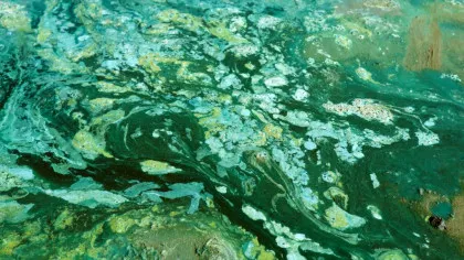 Ce fenomen a întârziat oxigenarea Pământului cu un miliard de ani?