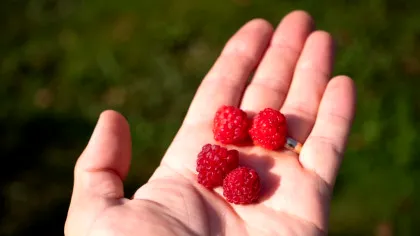 Care sunt obiceiurile alimentare care te pot îmbătrâni mai repede și cum să le corectezi?