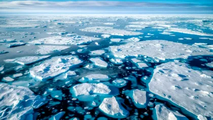 Viața a existat în Oceanul Arctic chiar și în erele glaciare, a descoperit o echipă internațională de cercetători