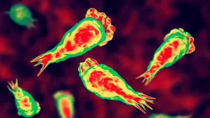 India declară alertă sanitară după mai multe cazuri de amibă „mâncătoare de creier”
