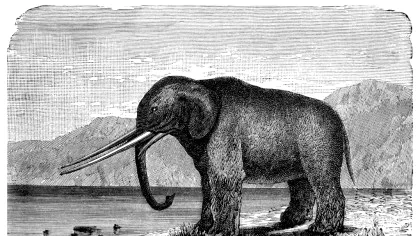 Test de cultură generală. Care este diferența dintre mamuți și mastodonți?