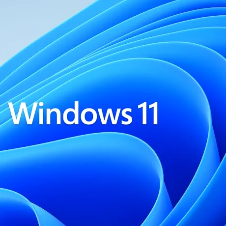 În ciuda unei ușoare creșteri, Windows 11 nu este preferatul utilizatorilor Steam