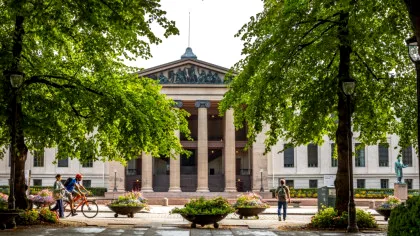 Cel mai verde oraș din lume este în Europa: aici a fost creată prima „autostradă a albinelor”