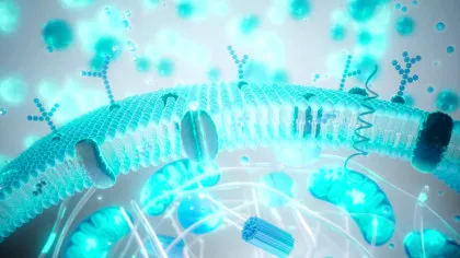 Tinerețe contra cost: cât din industria longevității este știință?