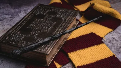 Cu cât a fost vândută la licitație prima ediție a cărții Harry Potter?