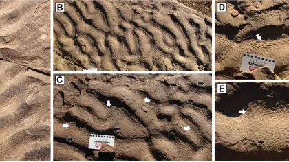 Semne de viață străveche, găsite într-un loc în care nimeni nu se aștepta
