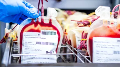 Enzimele descoperite în bacteriile intestinale pot schimba grupele de sânge ale unui donator