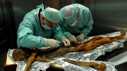 Ötzi, omul din gheață: ce au descoperit cercetătorii în corpul unei mumii vechi de 5.300 de ani