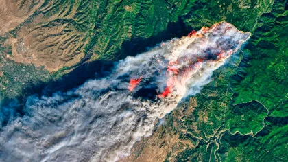 Chiar și după ce sunt stinse, incendiile de vegetație lasă în urmă un fenomen devastator