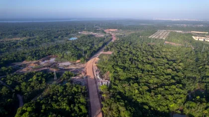 Pădurea amazoniană, sub asediu: Comunitățile care plătesc un preț scump pentru cererea mare de soia