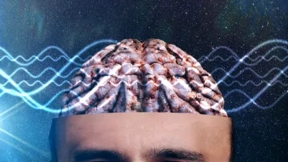 Secretul succesului s-ar putea ascunde în creier, arată o nouă cercetare