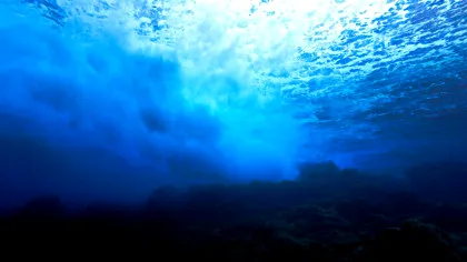 Cum s-a format Marele Canion al Atlanticului? Se întinde pe 500 de kilometri de-a lungul fundului mării!