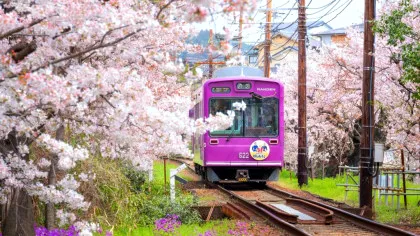 Taxă uriașă de hotel pentru turiștii care ajung în unul dintre cele mai prietenoase orașe din lume
