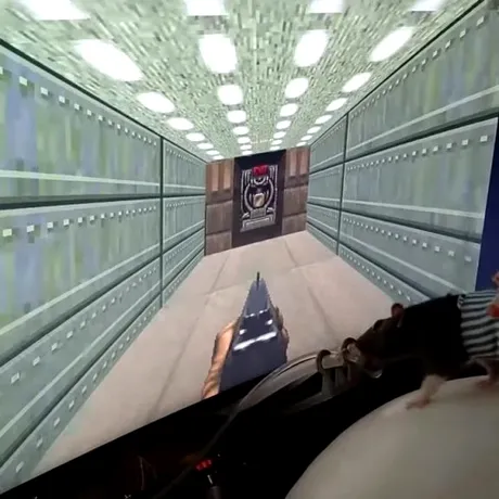 VIDEO: Șobolani, învățați să joace Doom II. I-am putea vedea pe Twitch