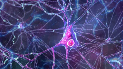 Cum încearcă oamenii de știință să ne aducă mai aproape de nemurire?