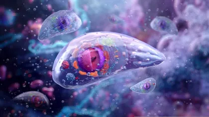 Cercetătorii au descoperit cum s-ar putea curăța creierul nostru de un parazit comun