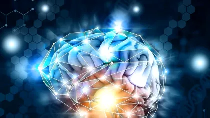 Oamenii de știință au descoperit o proteină care protejează creierul de deteriorarea generată de îmbătrânire