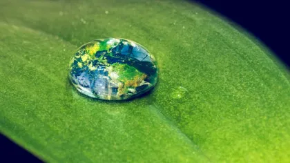 Cum putem să hrănim întreaga lume fără a distruge planeta?